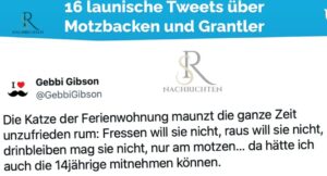Grantler Twitter: Ein Blick Auf Die Politische Und Soziale Plattform in Deutschland