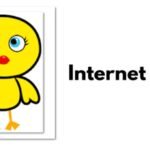 Internet Chicks