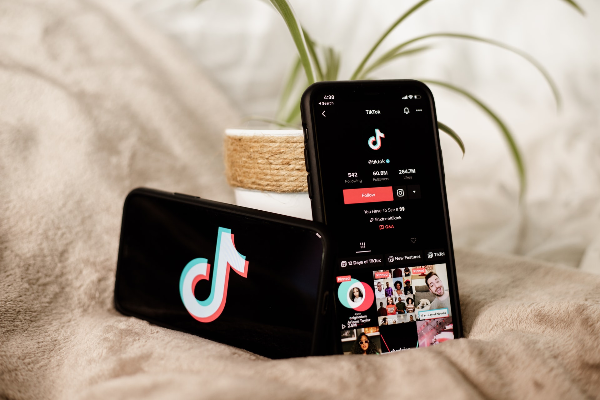 TikTok Geld verdienen