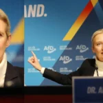 Alice Weidels ohrprothese