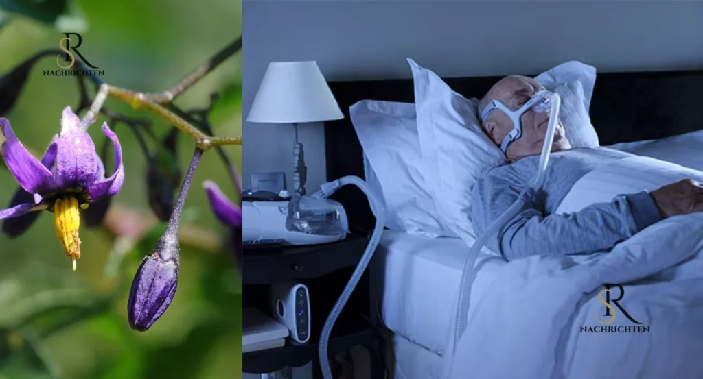 Nachtschattenlähmung