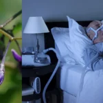 Nachtschattenlähmung